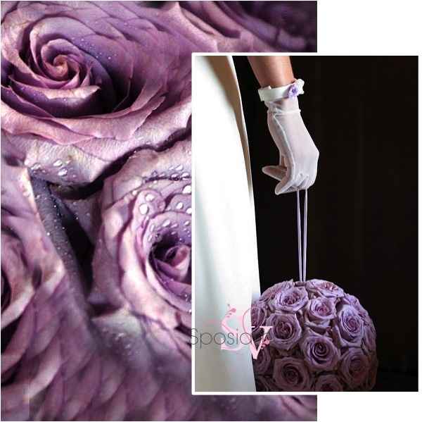 Matrimonio glicine