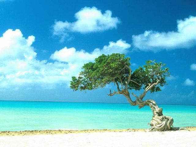 Viaggio di nozze ai Caraibi