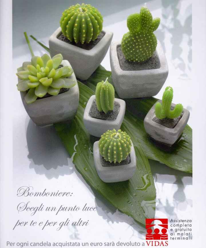 Matrimonio cactus