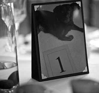 Segnaposto nozze cani