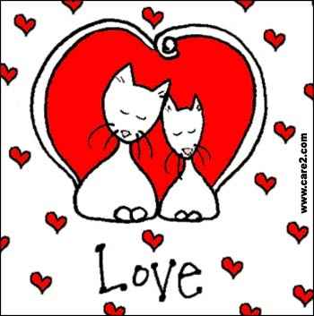 Partecipazione nozze gatti cuori