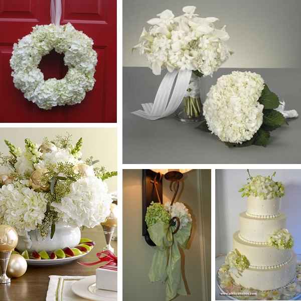 Decorazioni matrimonio ortensie