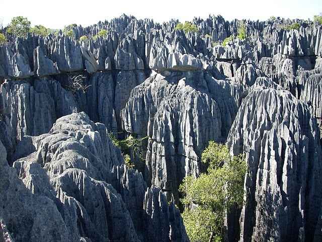 Luna di miele in Madagascar