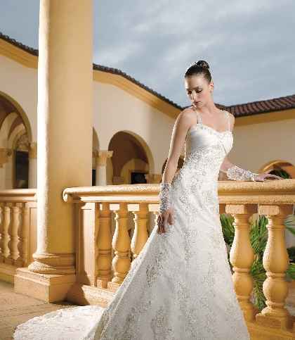 Miss Kelly Sposa Group