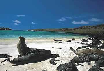 Luna di miele alle Galapagos