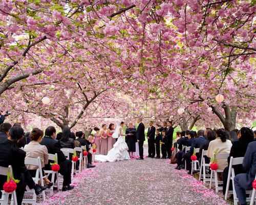 matrimonio in stile giapponese