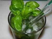 Mojito al basilico