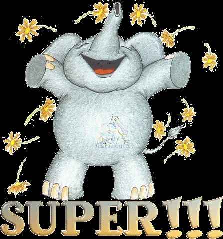 Congratulazioni