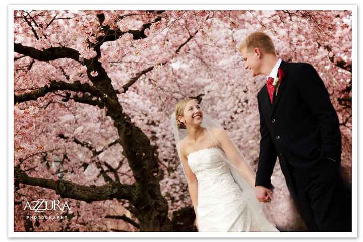 Matrimonio ciliegio