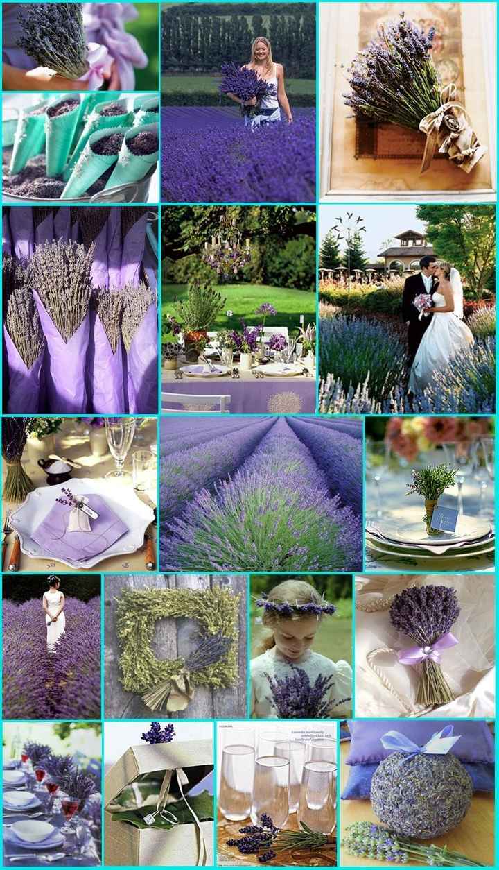 Idee matrimonio lavanda