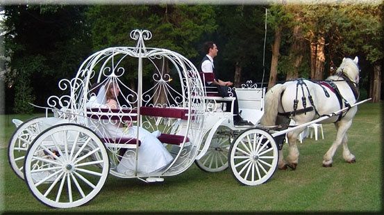 Cinderella Wedding carriage