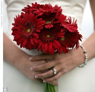Bouquet girasoli rossi