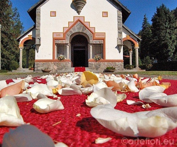 Petali matrimonio