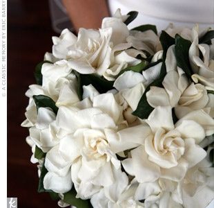 Bouquet sposa magnolia
