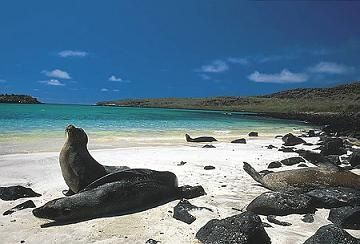 Luna di miele alle Galapagos
