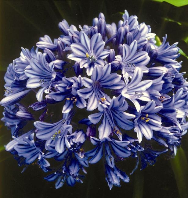 Bouquet sposa settembre