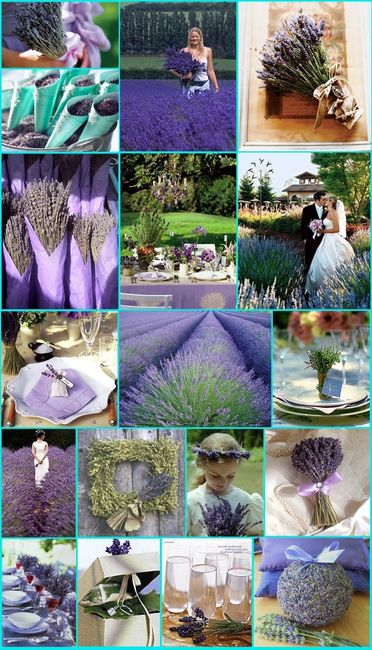 Idee matrimonio lavanda
