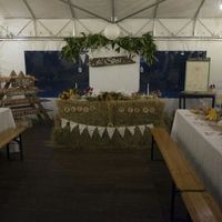 Foto ufficiali al naturale - 5