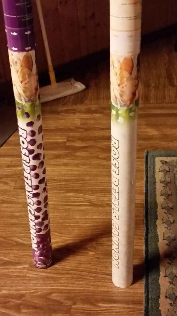 -48 gioni .. quasi tutto pronto ... - 7