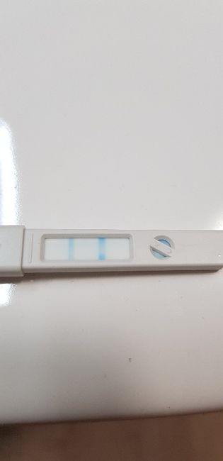 Test ovulazione clearblue tappo viola 1