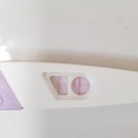 Test ovulazione.. positivo? - 1