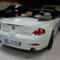 Ecco l'auto per il mio grande giorno - 8