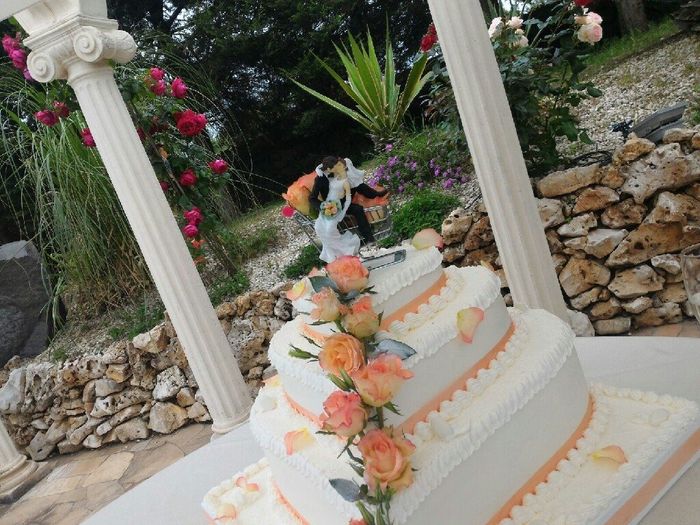 Matrimonio da favola - 1