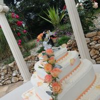 Matrimonio da favola - 1