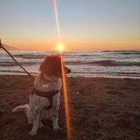 Avete un animale domestico? - 1