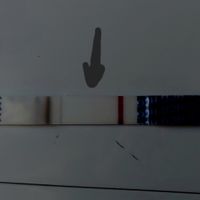 Chi non le aspetta per agosto 🍼🍼🏖️ - 1