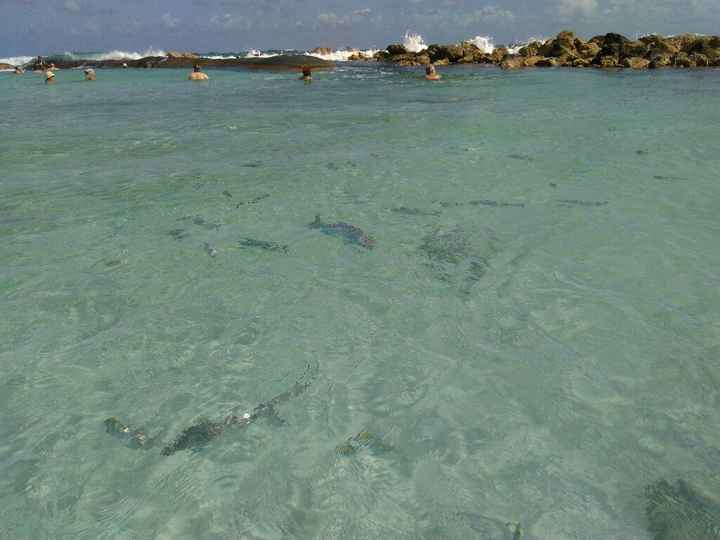 Viaggio di nozze - 1