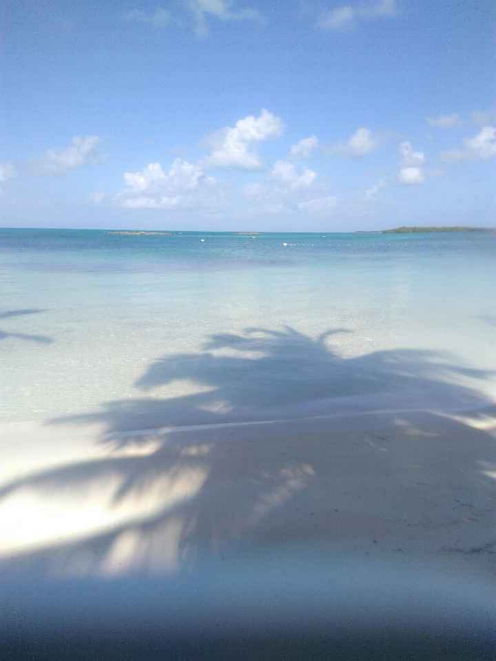 Viaggio di nozze - 1