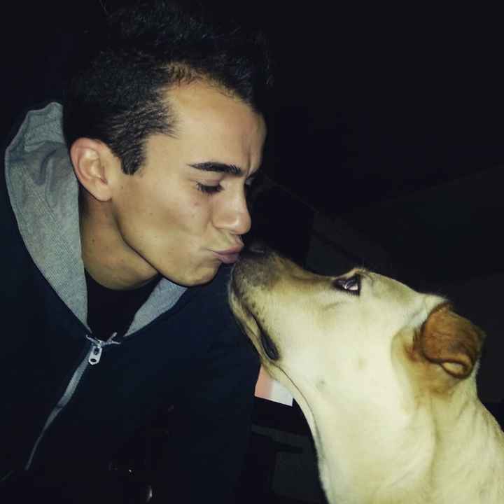 Too cute: i vostri amici animali - 1