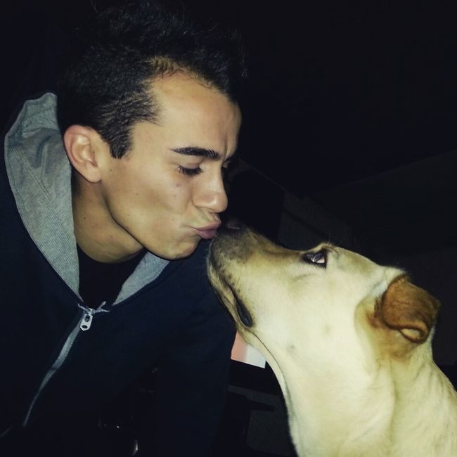 Too cute: i vostri amici animali - 1