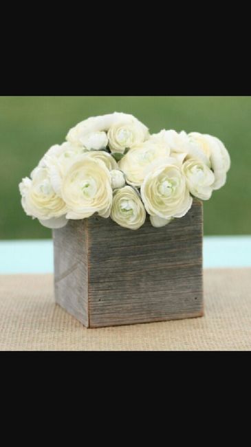 Indecisa sul colore e fiori - 3