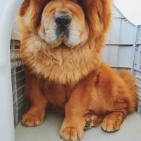 Collaboratori pelosi ❤️ - 1