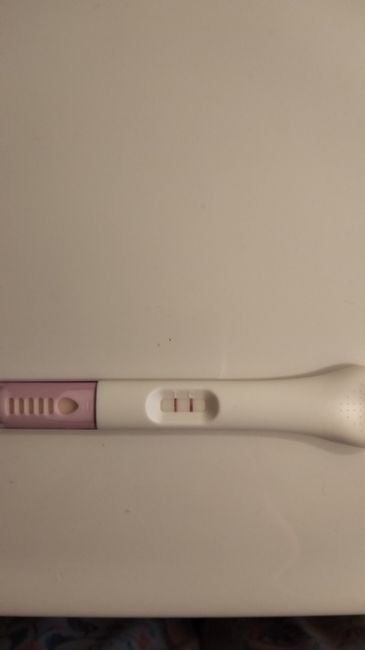 Chi non le aspetta per maggio 2025 🍀🌸🌺💐🌻 1