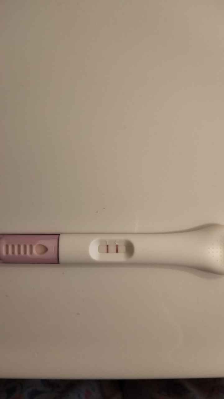 Chi non le aspetta per maggio 2025 🍀🌸🌺💐🌻 - 1