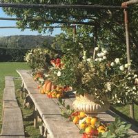 Lo stile del mio banchetto