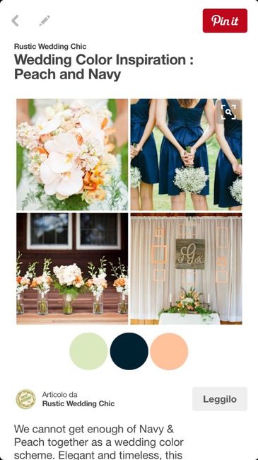 Rosa pesca e..... - 1