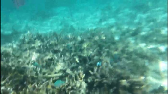 Mauritius... un  sogno ❤️ - 2