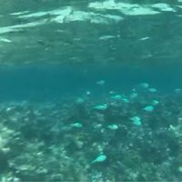 Mauritius... un  sogno ❤️ - 1