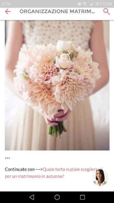  Bouquet che problema - 2