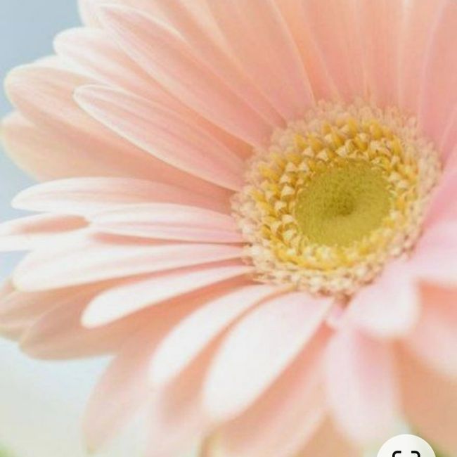 Vi prego, aiutatemi :d - 1