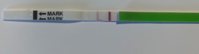 Per chi non le aspetta per febbraio 2020 - 1