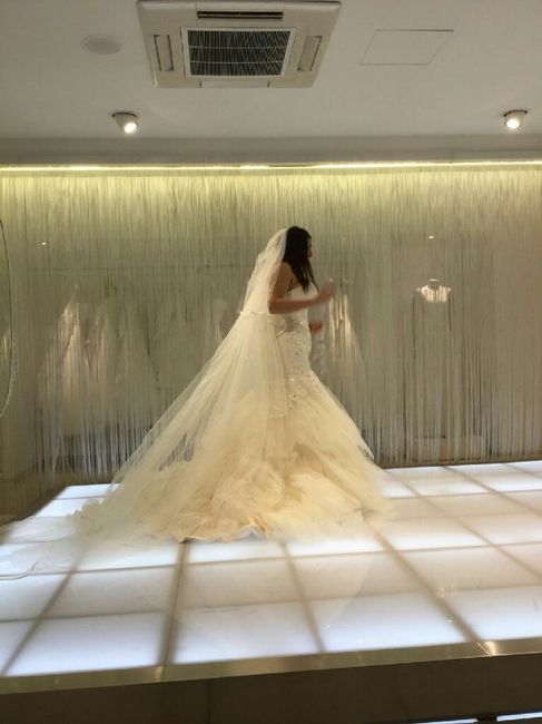 Vi piace il mio abito - 2