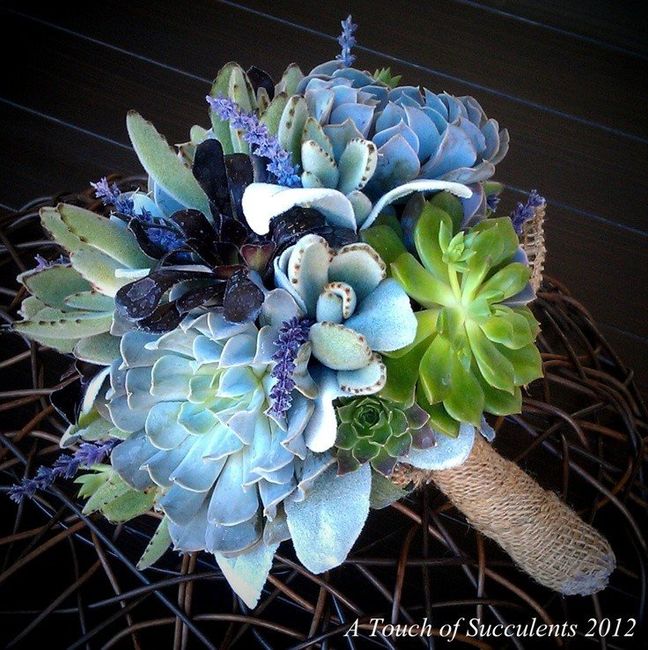 Bouquet piante grasse