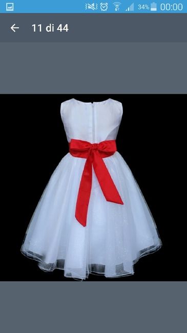 Il mio primo acquisto online - 2