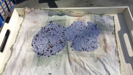 Bomboniere originali: fogli di semi - 1