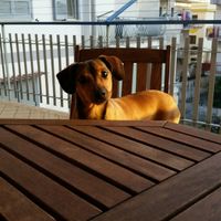 Vi presento il mio bambino *-* - 1